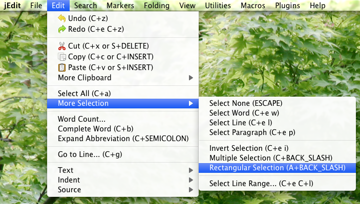 jEdit menu for Rectangle Selection